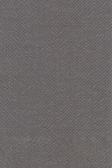 Colline 2 - 0147