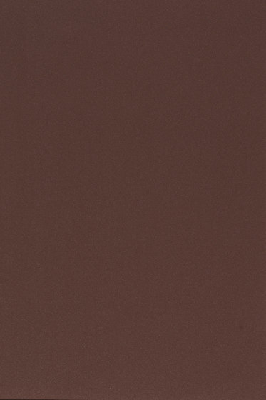 Dawn 2 - 0381