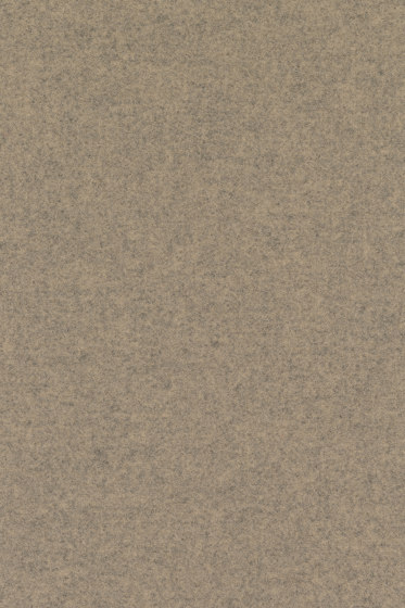 Divina Melange 3 - 0237