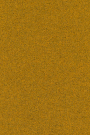 Divina Melange 3 - 0457