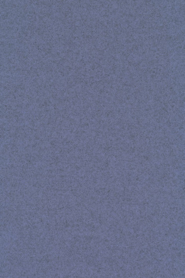 Divina Melange 3 - 0647