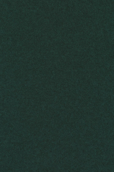Divina Melange 3 - 0871