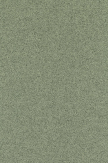 Divina Melange 3 - 0917