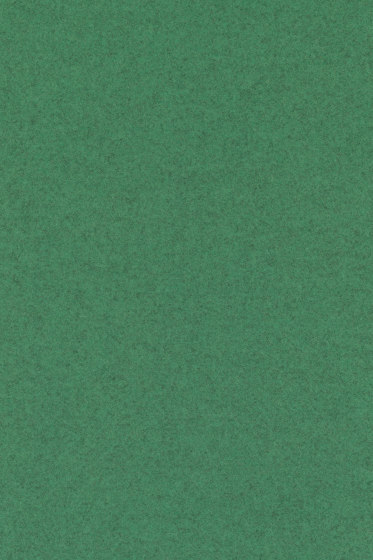 Divina Melange 3 - 0937