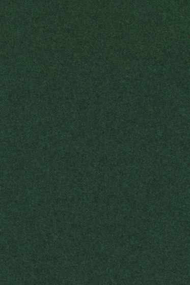 Divina Melange 3 - 0967