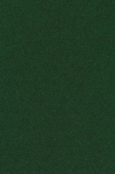 Divina Melange 3 - 0977