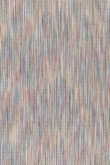 Domain - 0017