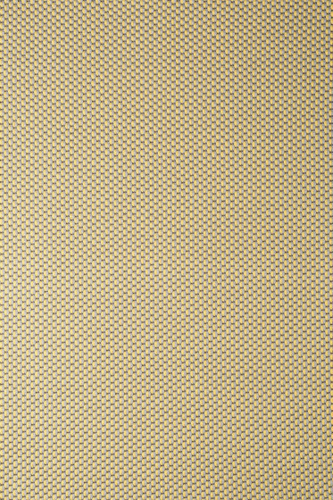 Drop - 0421