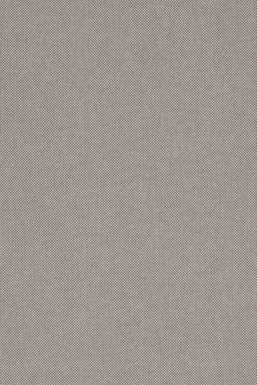 Field 2 - 0242