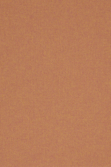 Field 2 - 0443