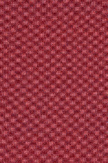 Field 2 - 0673
