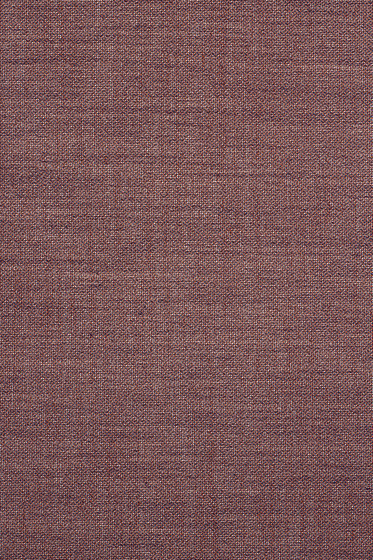 Ginger 2 - 0292