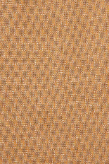 Ginger 2 - 0462