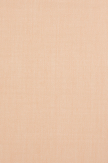 Ginger 2 - 0622