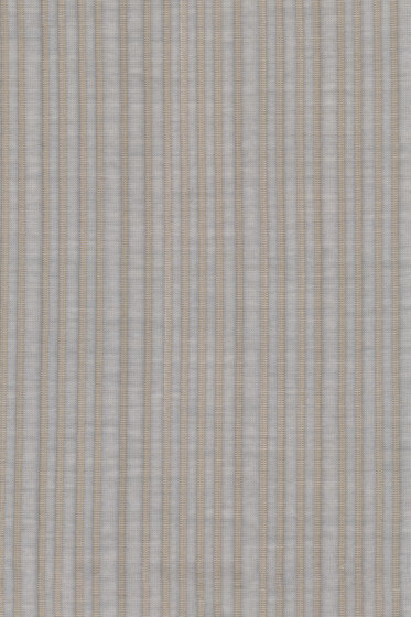 Husk - 0124