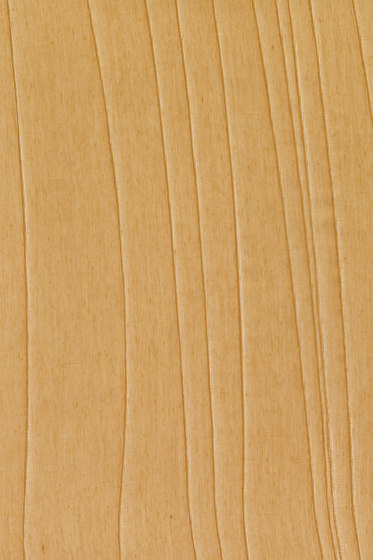 Interlace - 0564