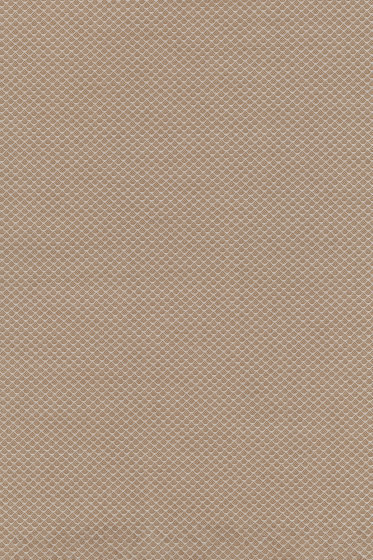 Jaali  - 0201