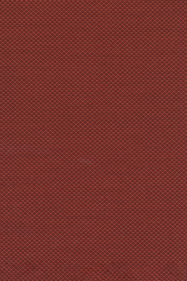 Jaali  - 0561