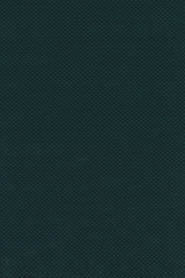 Jaali  - 0991