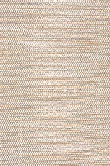 Lila - 0221