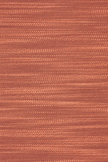 Lila - 0551