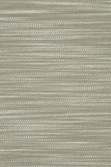 Lila - 0951