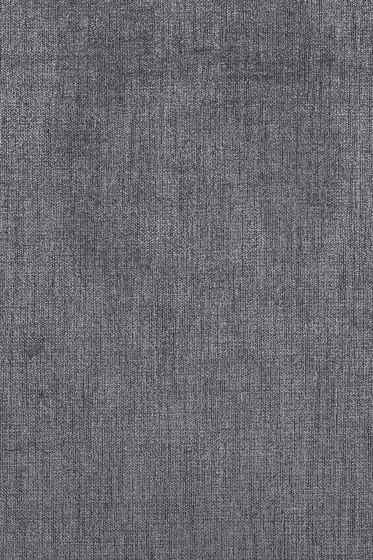 Maple - 0192