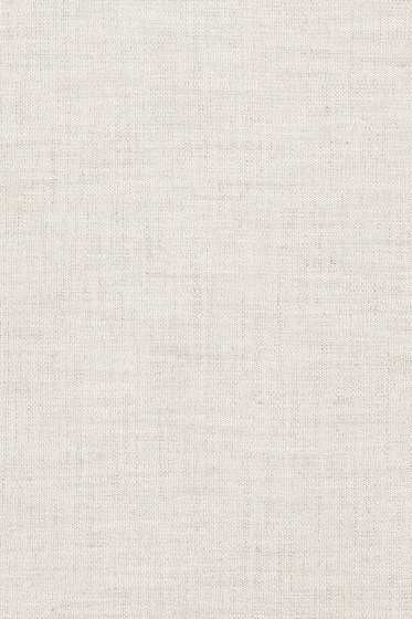 Maple - 0222