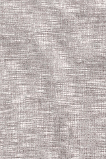 Maple - 0232