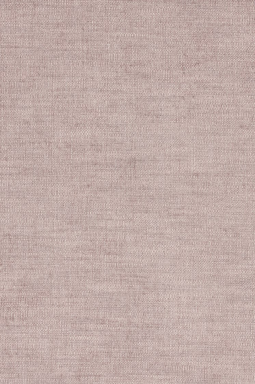 Maple - 0342