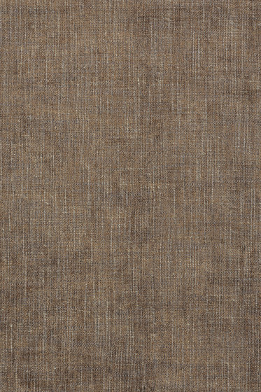 Maple - 0392