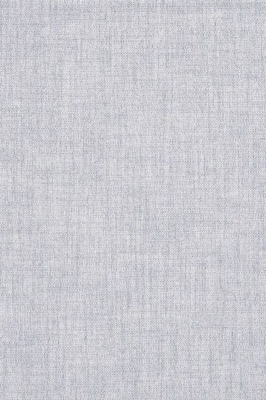 Maple - 0722