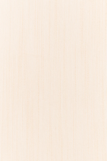 Melu Acoustic - 0228