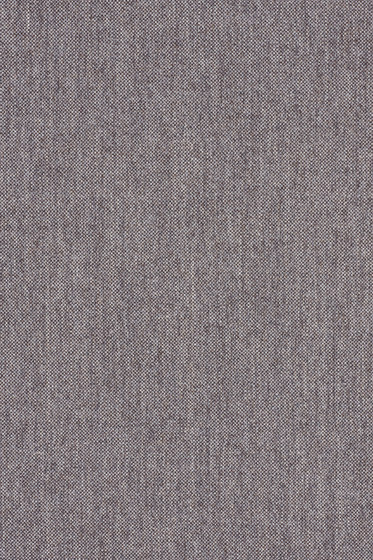 Molly 2 - 0152