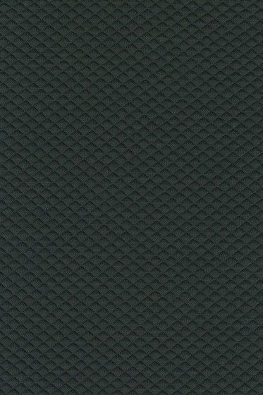 Mosaic 2 - 0972