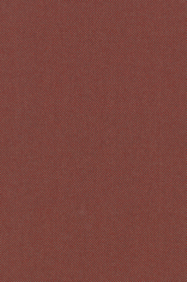 Parkland - 0551