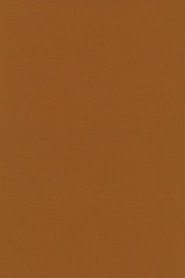 Planum - 0351