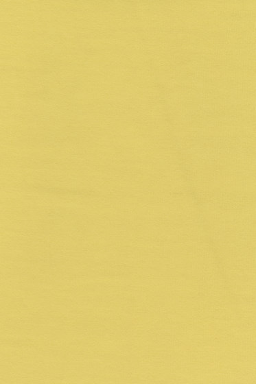 Planum - 0411