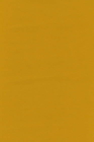 Planum - 0441