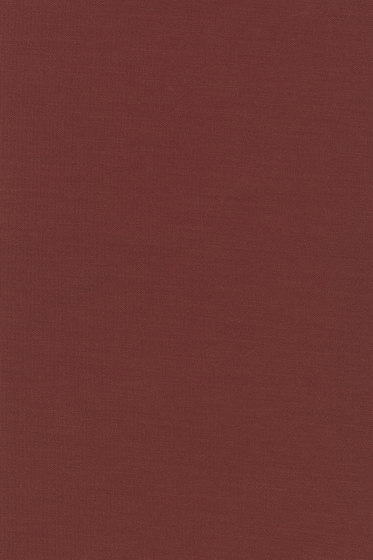 Planum - 0571
