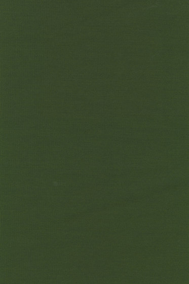 Planum - 0961