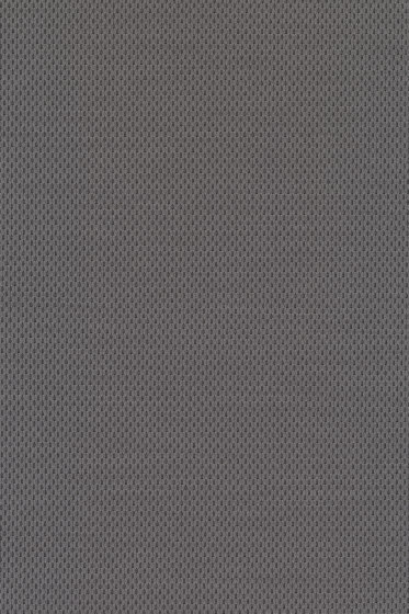 Plecto - 0134