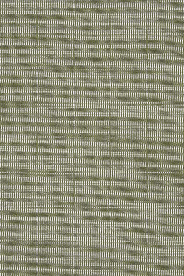 Raas - 0952