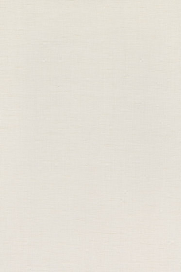 Raffia - 0001