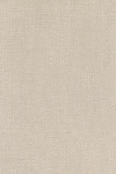 Raffia - 0003
