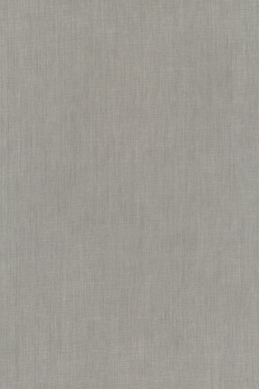 Raffia - 0006