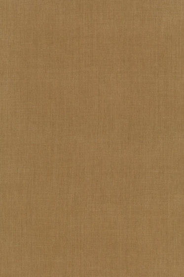 Raffia - 0012
