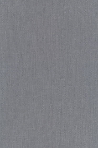 Raffia - 0013