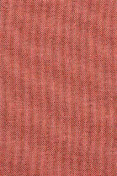 Re-wool - 0558