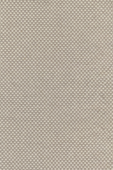 Sisu - 0105